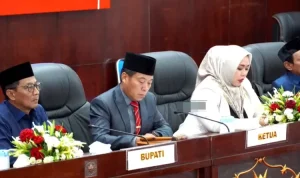 IMG-20250815-WA0031-2548349638