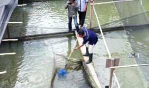 Screenshot-2025-09-16-132917